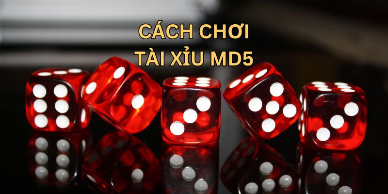Cách chơi tài xỉu MD5 cơ bản